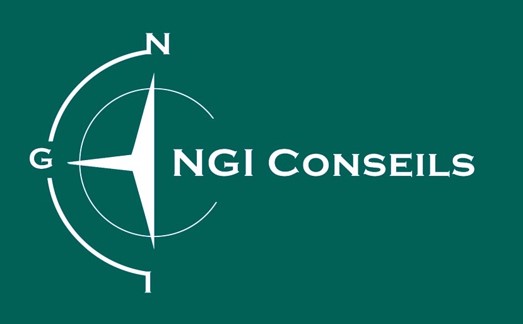 NGI Conseils